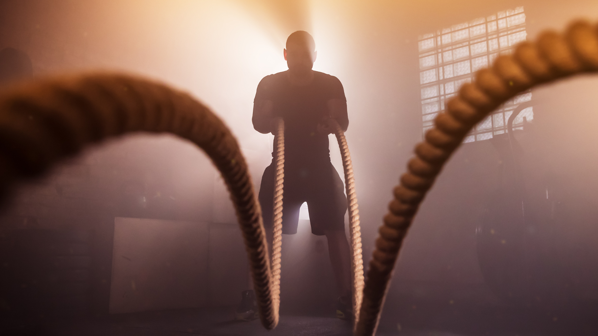 MC website images (9).png (1)