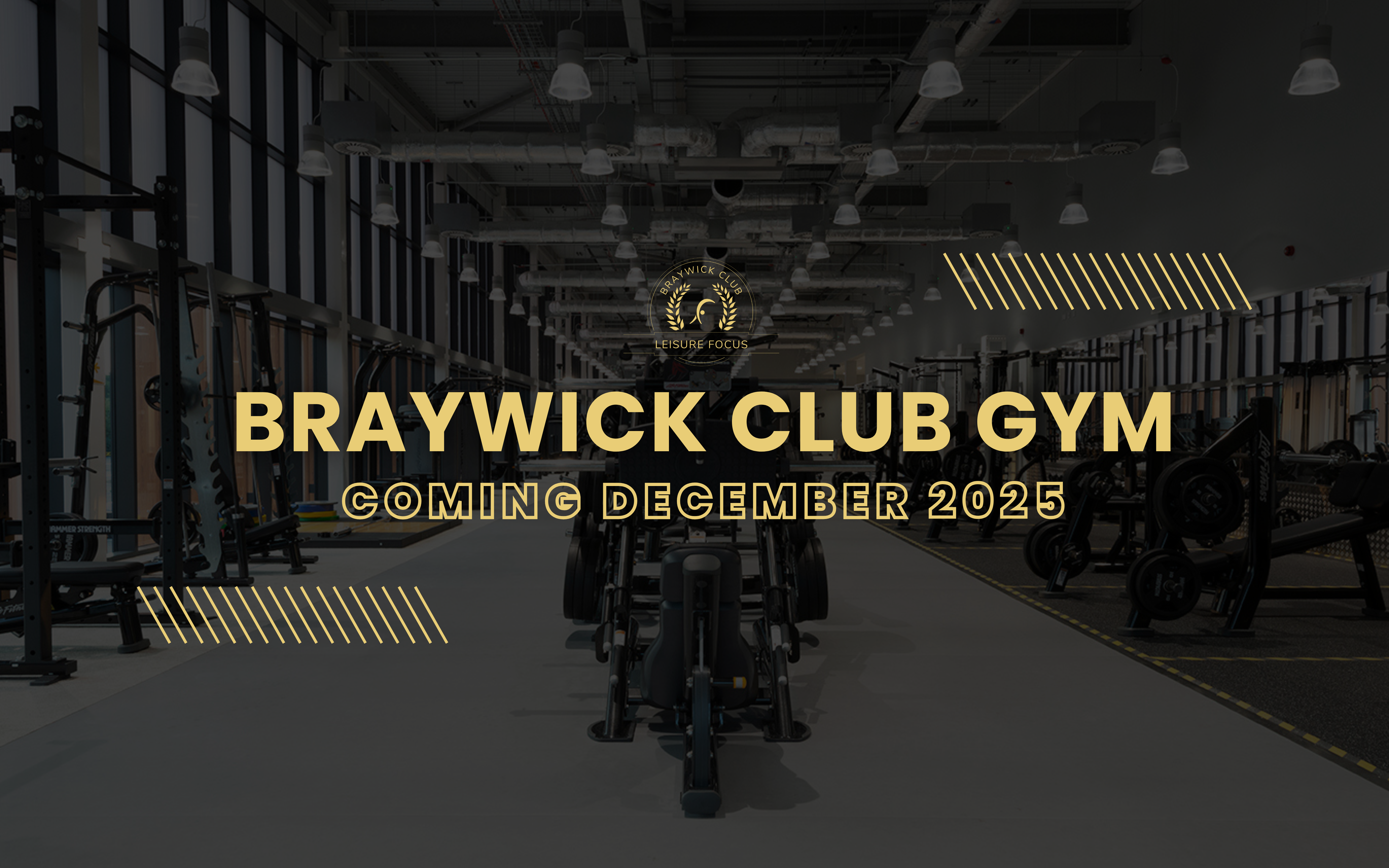 MC website image.png MC website image.png